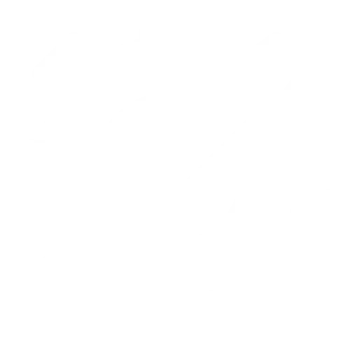 execution icon
