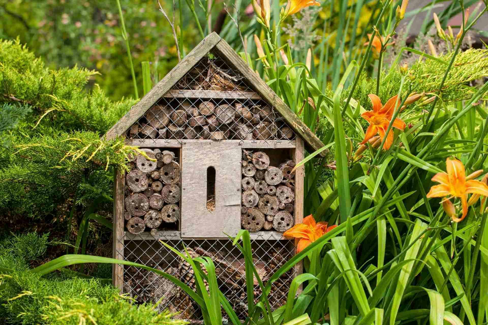 Cabane pour animaux en bois au milieu d'herbes et de fleurs