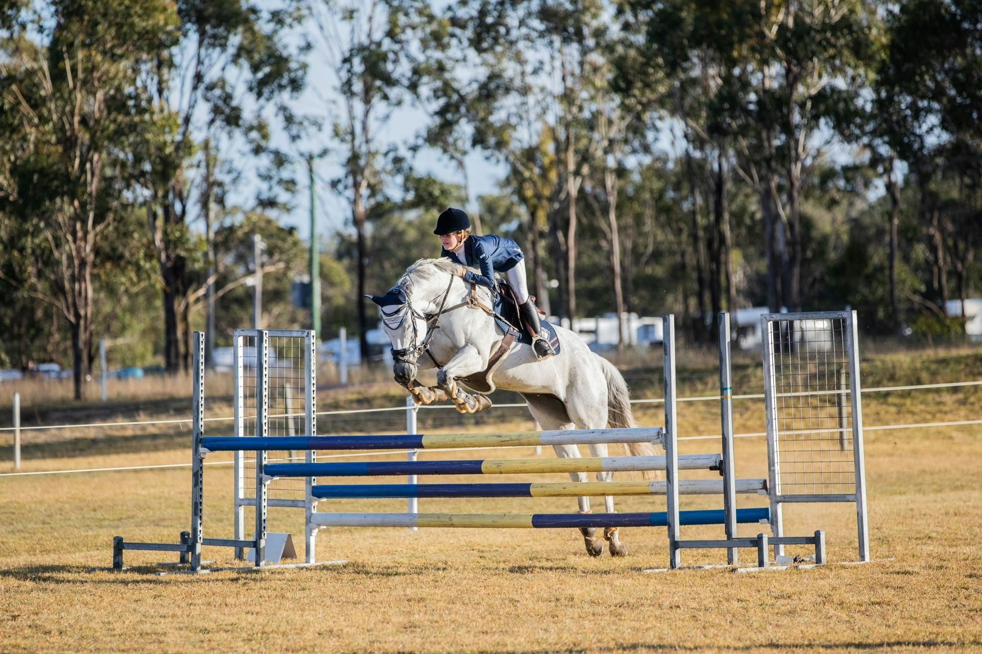 qric - horse rider jumping 