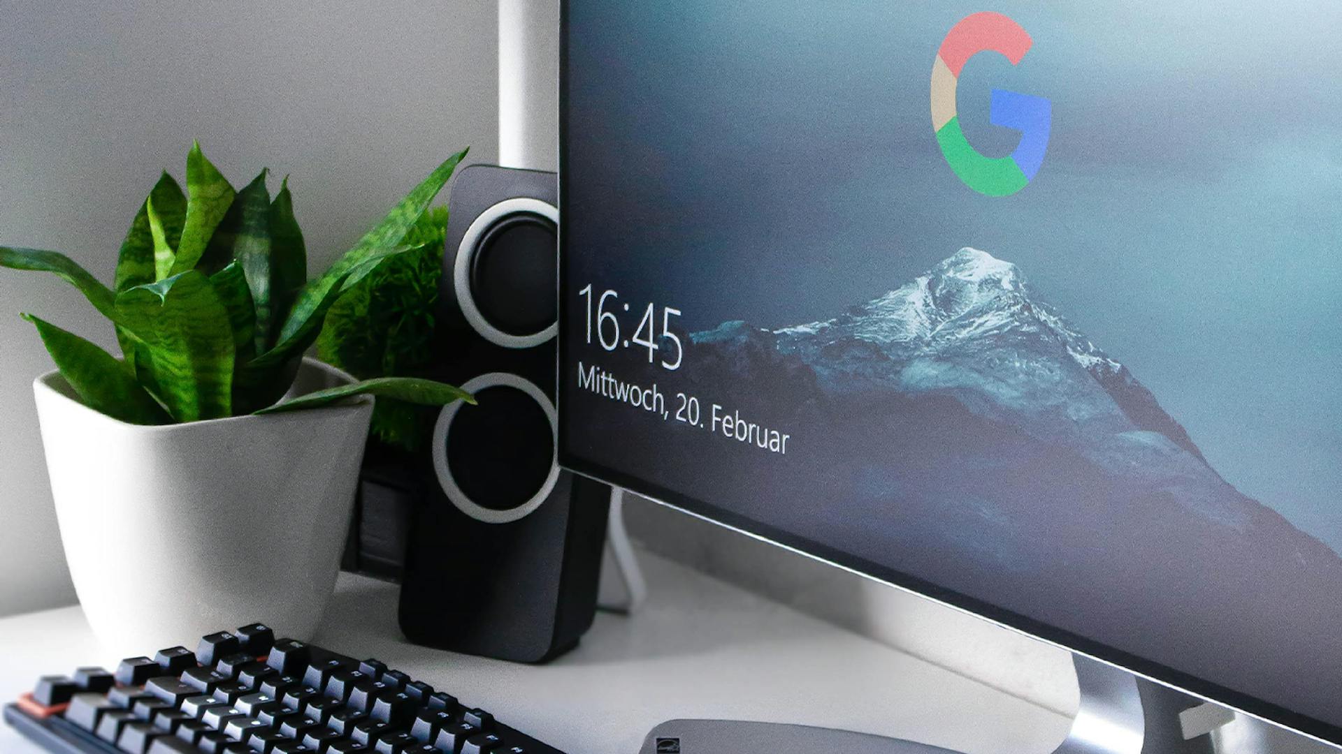 Foto Zimmerpflanze auf Schreibtisch mit Desktop Bildschirmschoner mit Google Logo