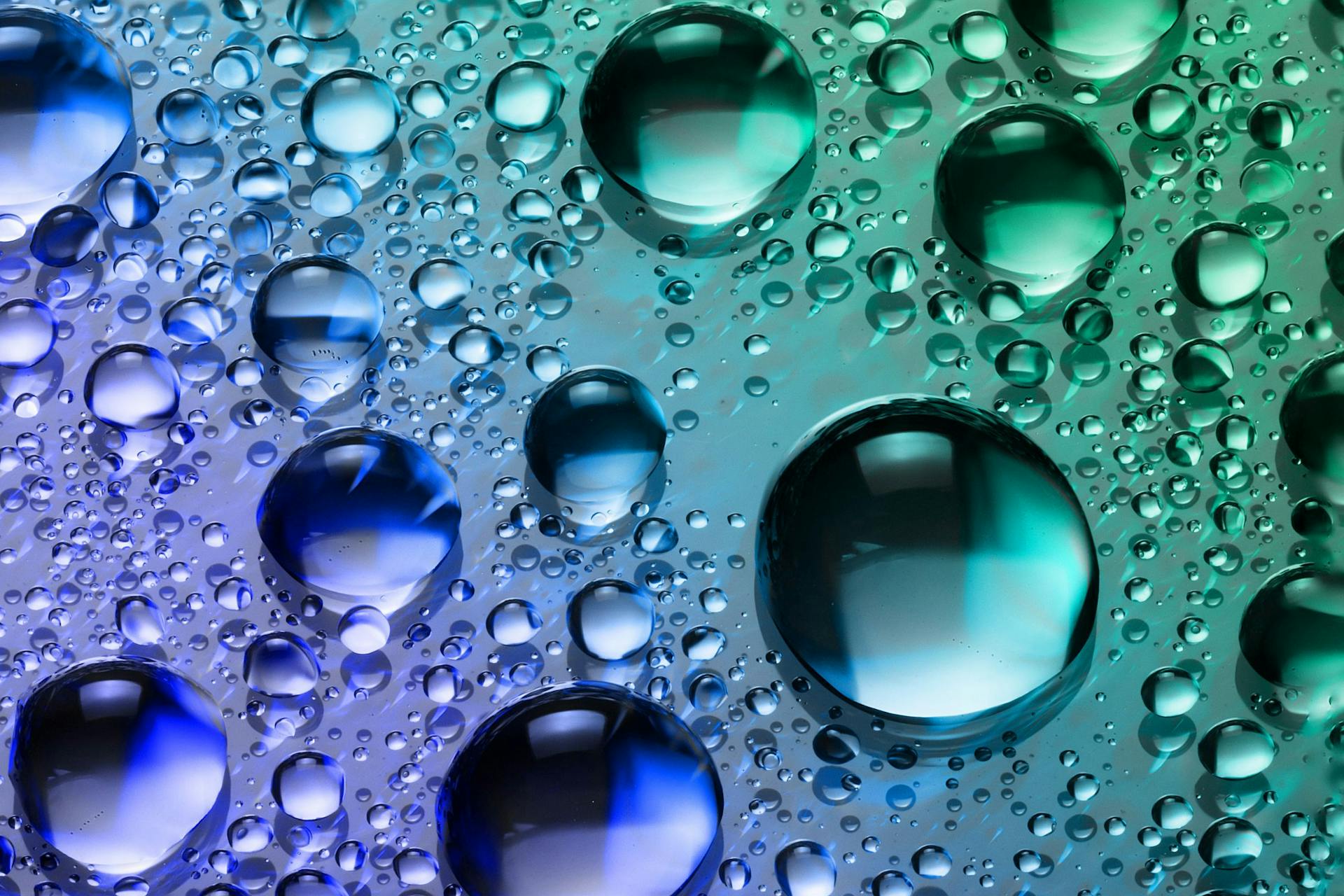 Bulles allant du violet au vert