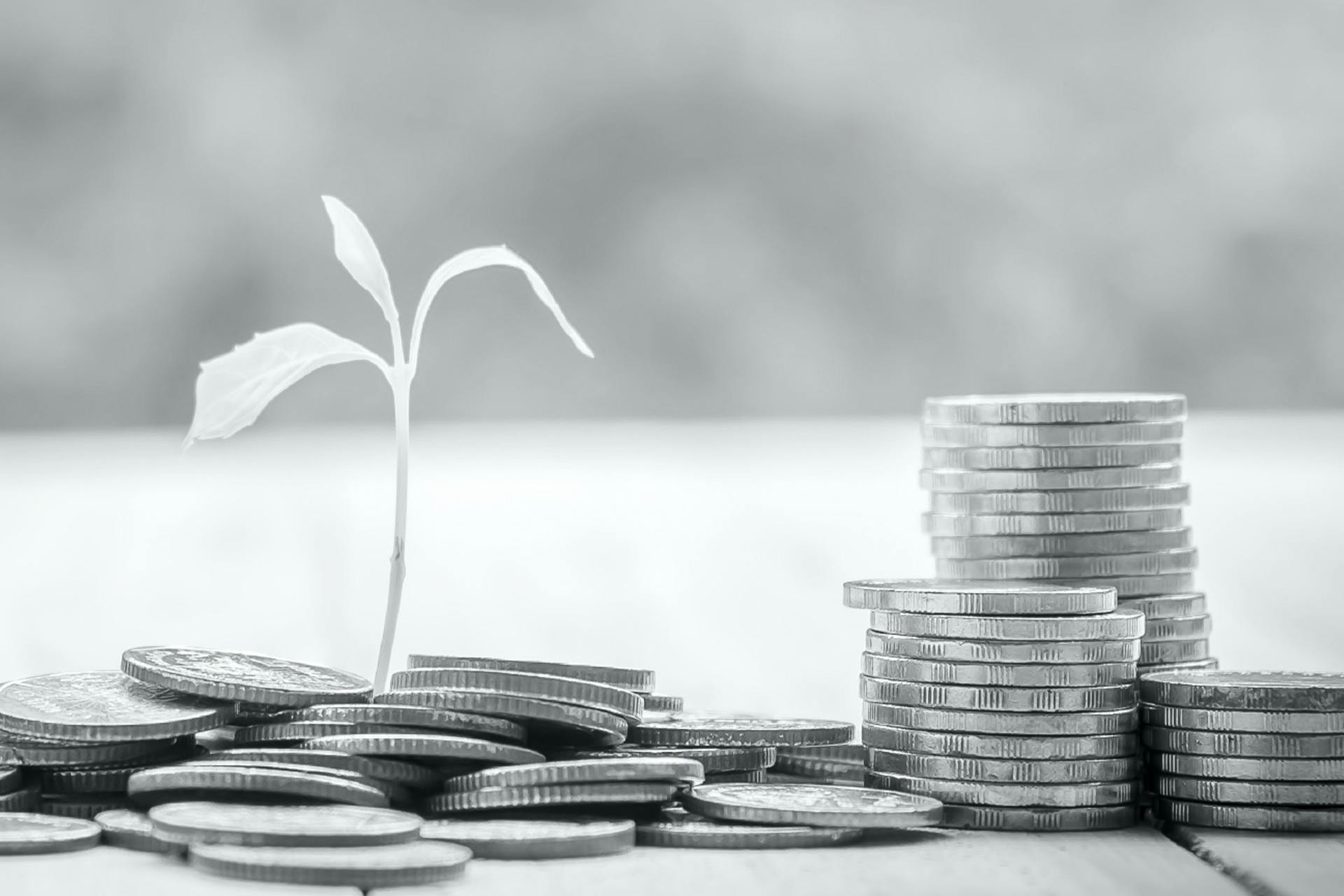 black and white image of a plant growing out of money