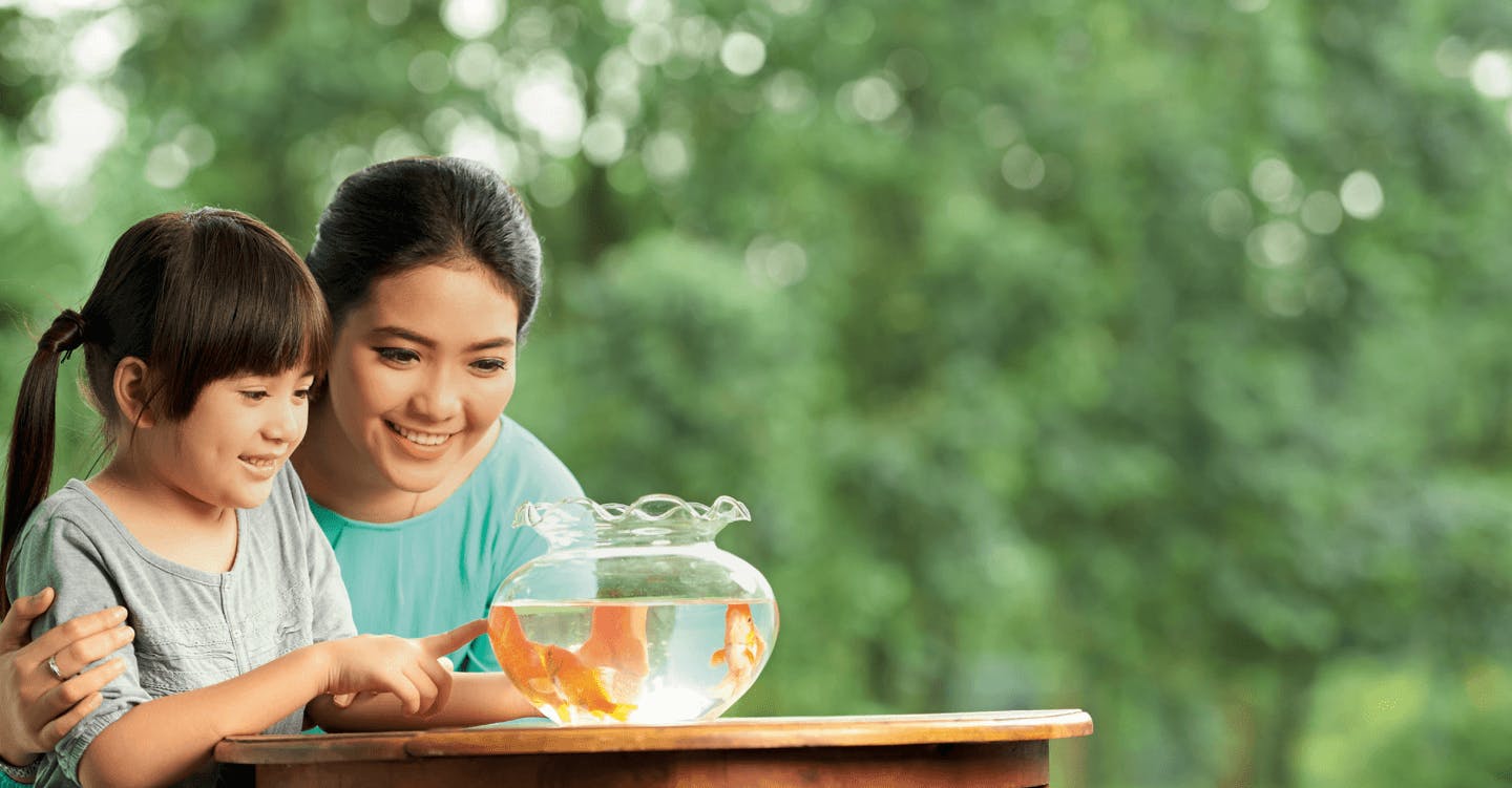 A female adult hugging a small female girl while they look at a fish bowl