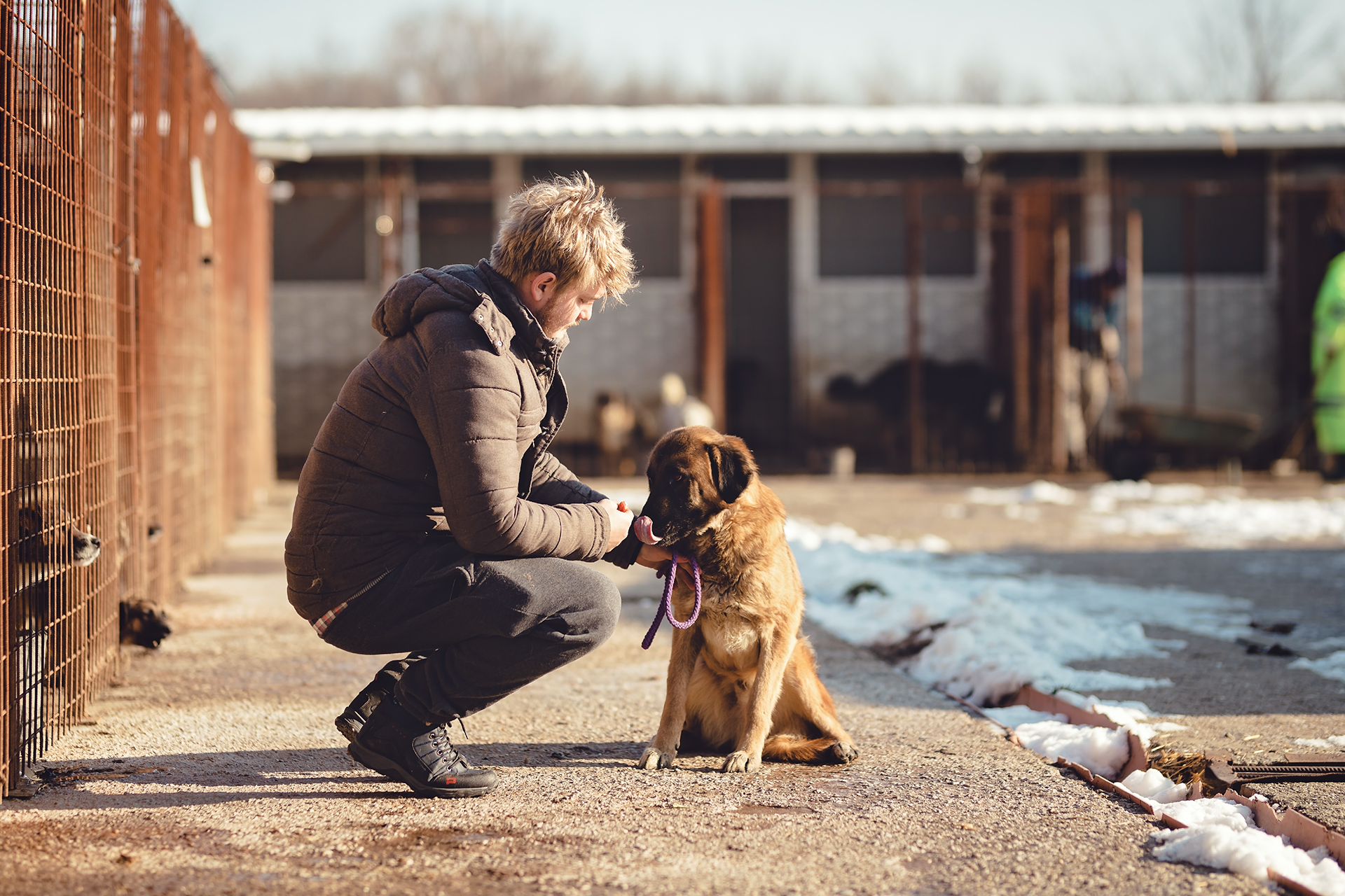 Photo of a man petting a dog in the Pet Industry Joint Advisory Council