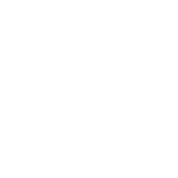 Make new connections icon
