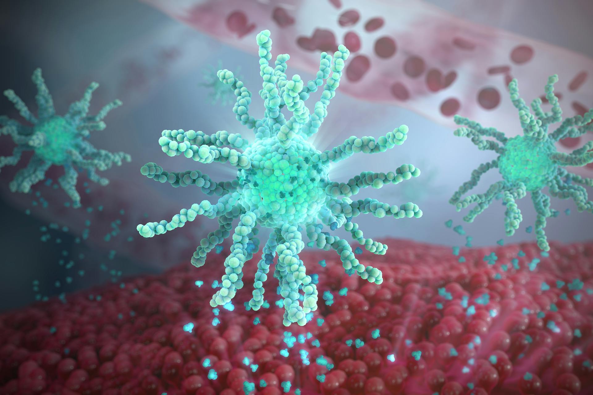Advanced drug delivery of a small molecule using a polymer drug conjugate