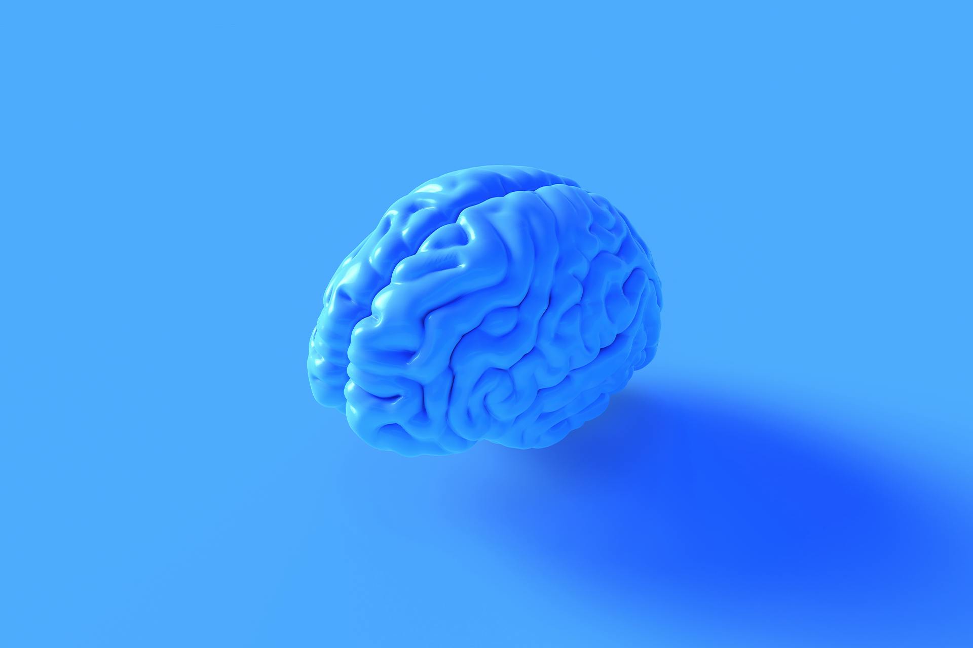 在蓝色背景下的蓝色人脑模型。我们认为这是我们市场情报博客的完美选择。bv伟德体育安卓版