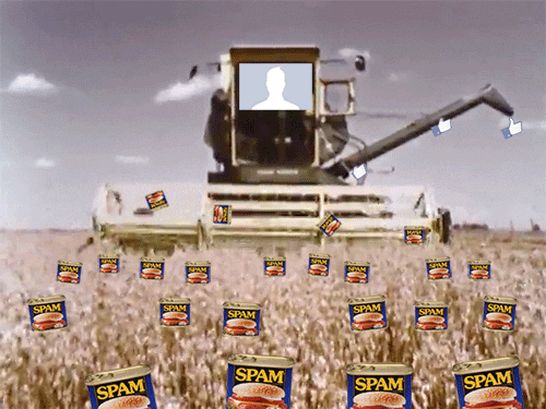 spam gif