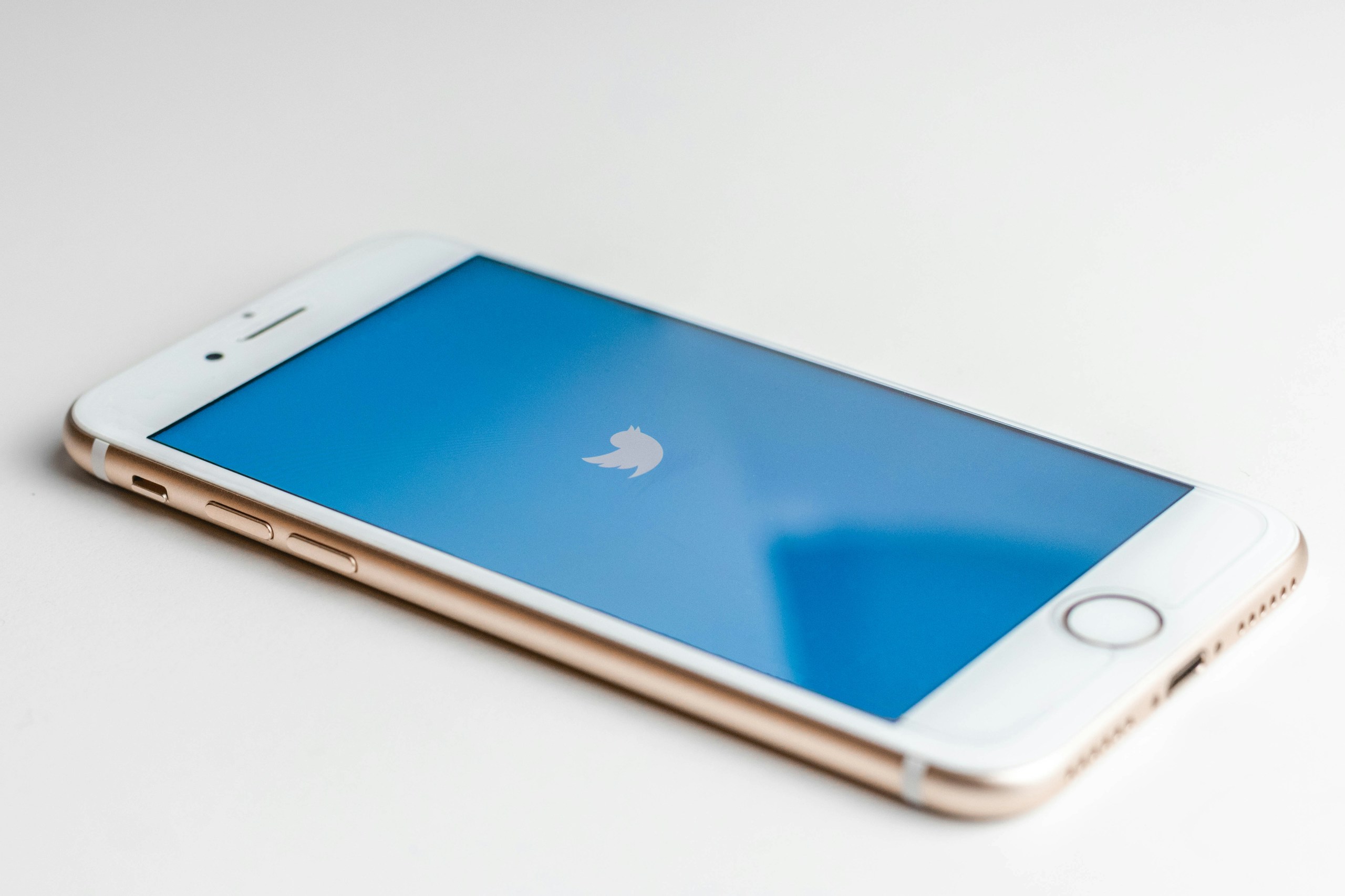 twitter communauté