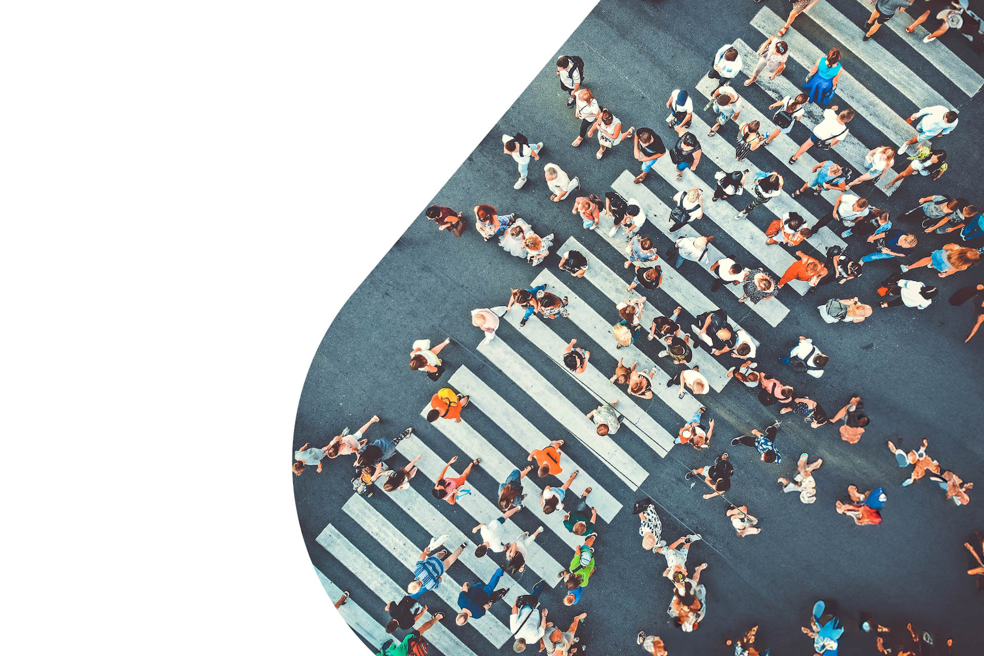 An overhead image of people crossing the street in a crosswalk, used for Meltwater's Personalization at Scale Guide.