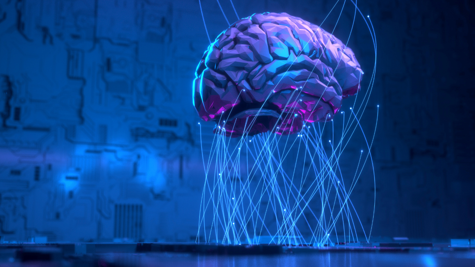 un cerveau relié à une base de données