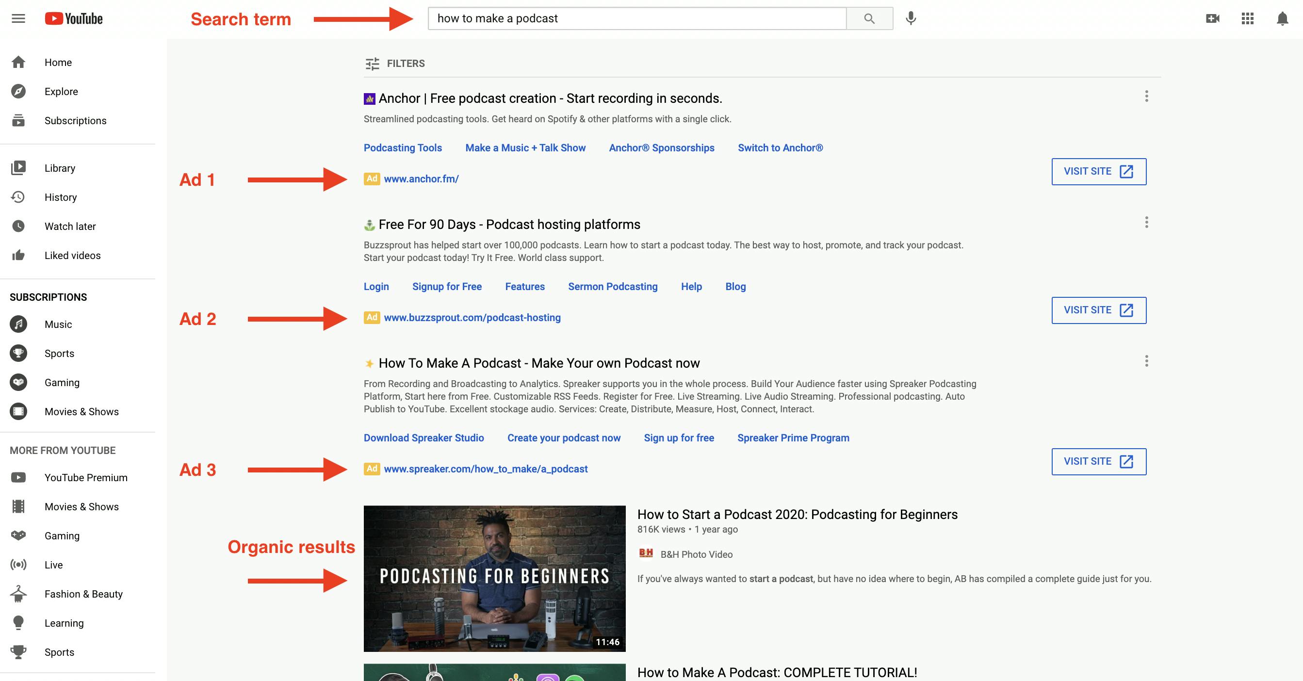 Example of Non video YouTube ads showing multiple ads showing before the organic video results