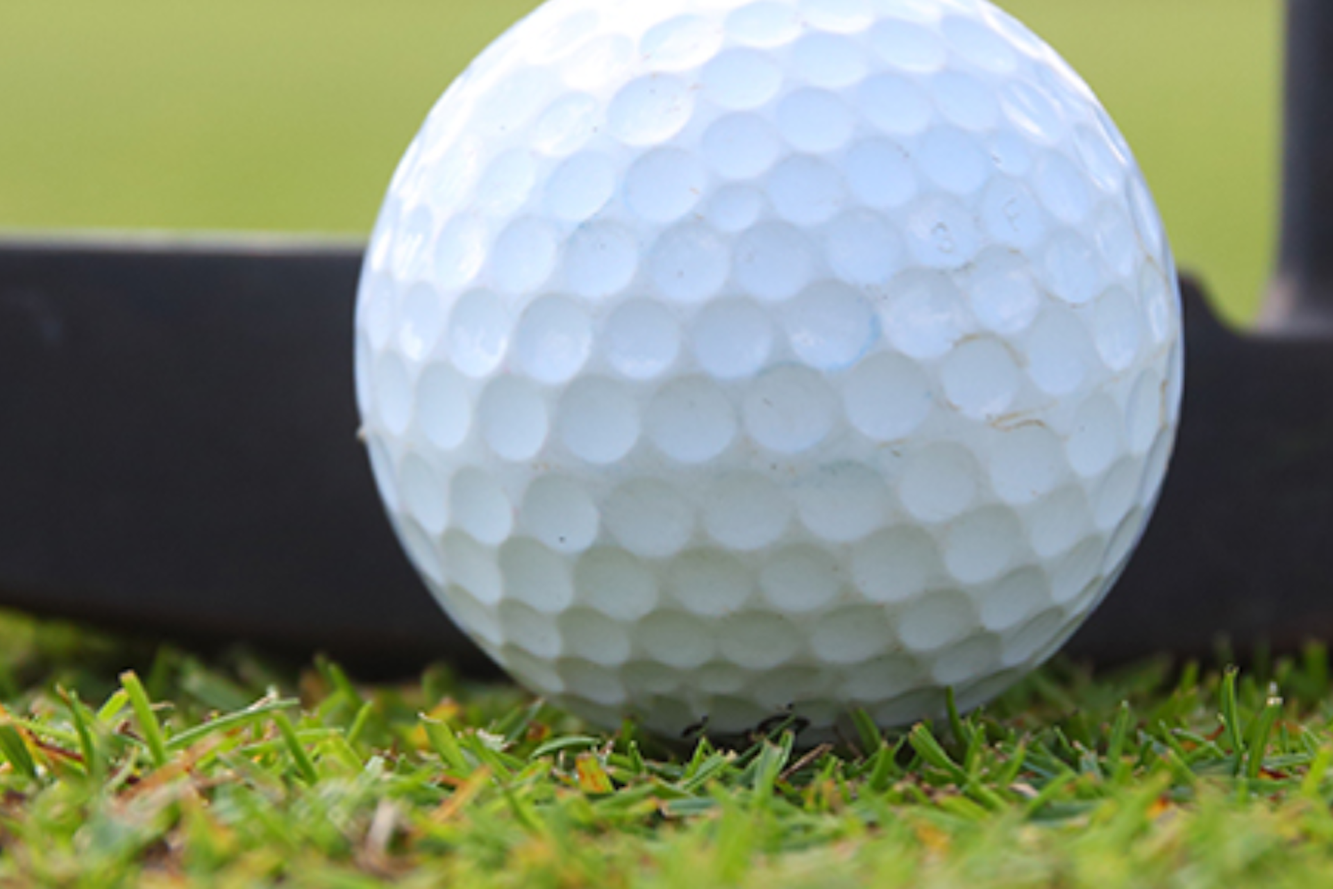 A golf ball on grass.