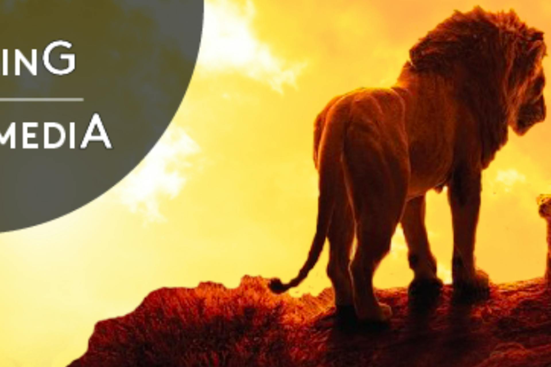 picture of a lion and cub with orange sky and The Lion King text