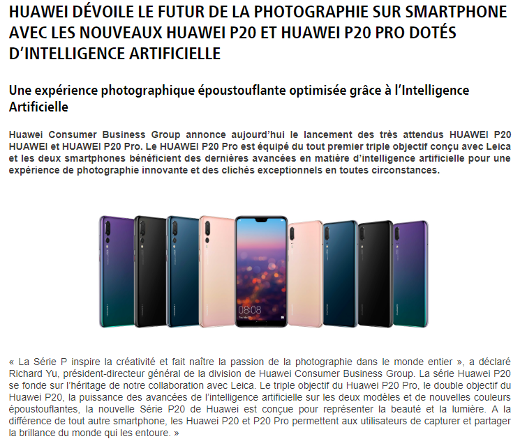 exemple de projet professionnel racdigac  hachimonton