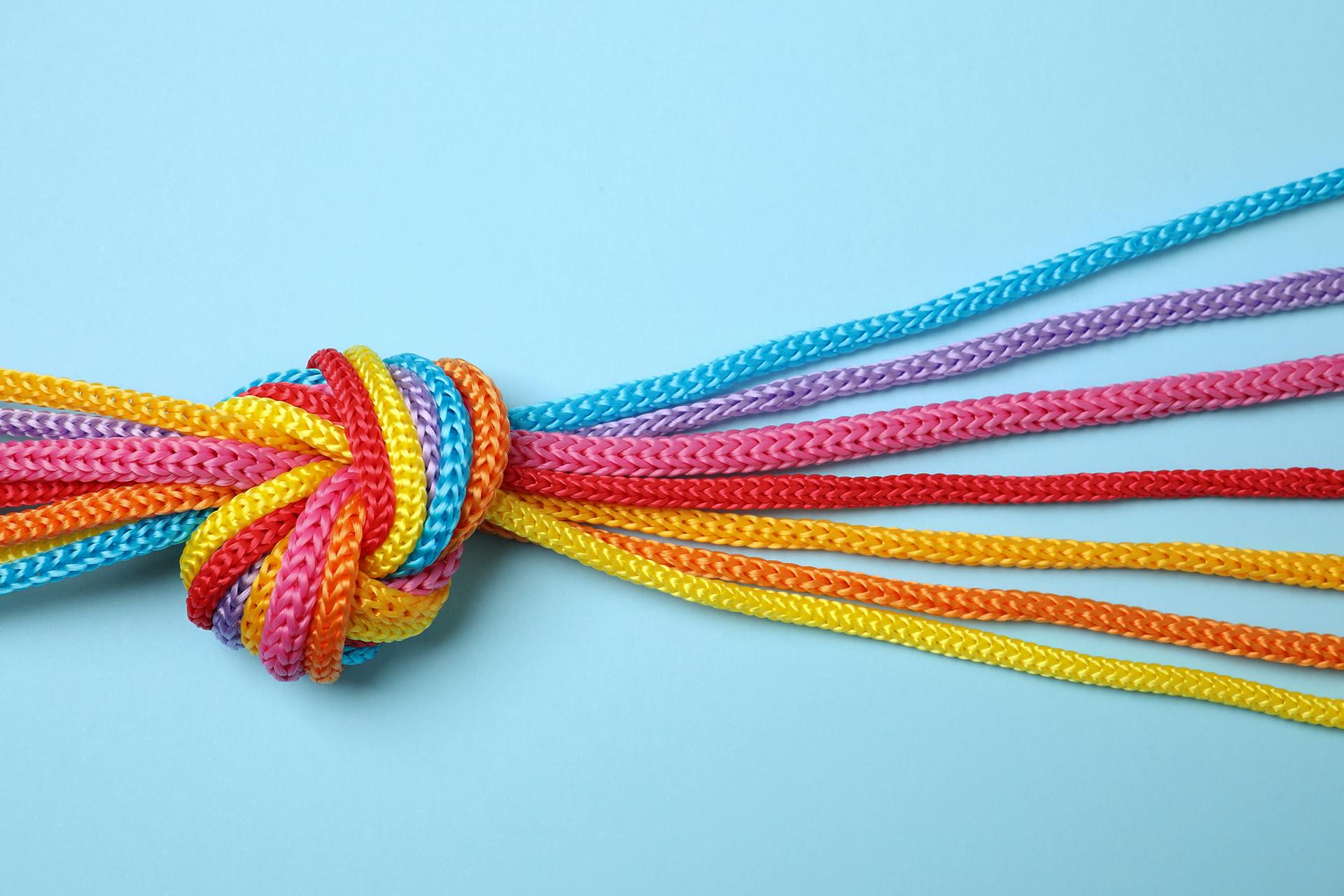 A group of different colored strings that are tied together in a knot. This image is being used as the hero image on a blog about reputation management.