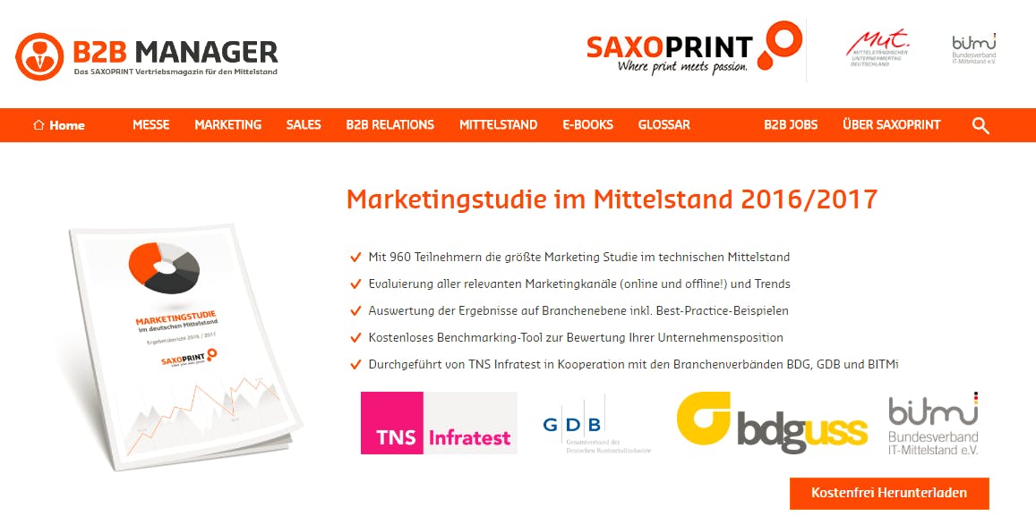 Screenshot Saxoprint Marketingstudie