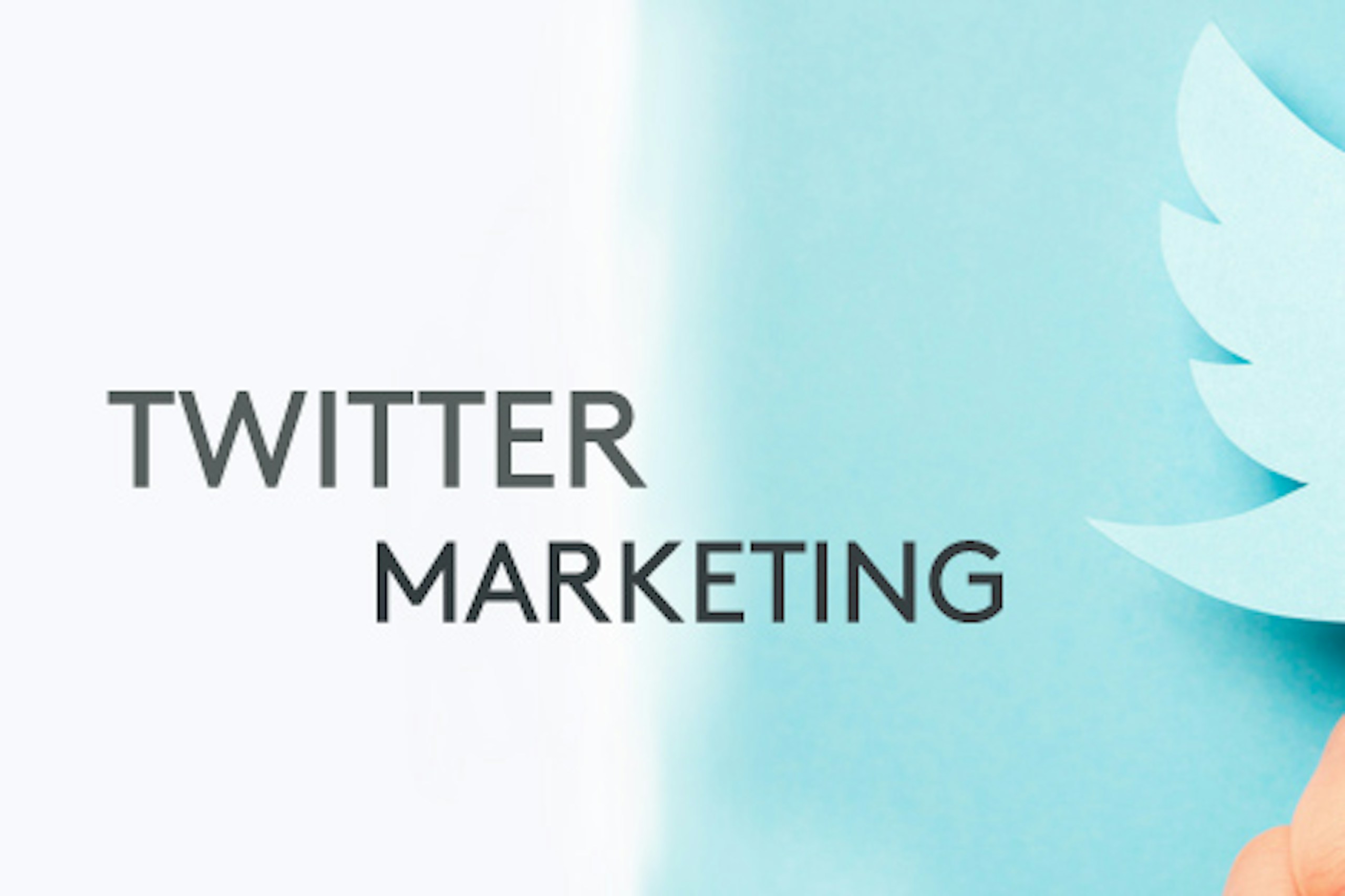 Twitter Icon in Hand Aufschrift Meltwater