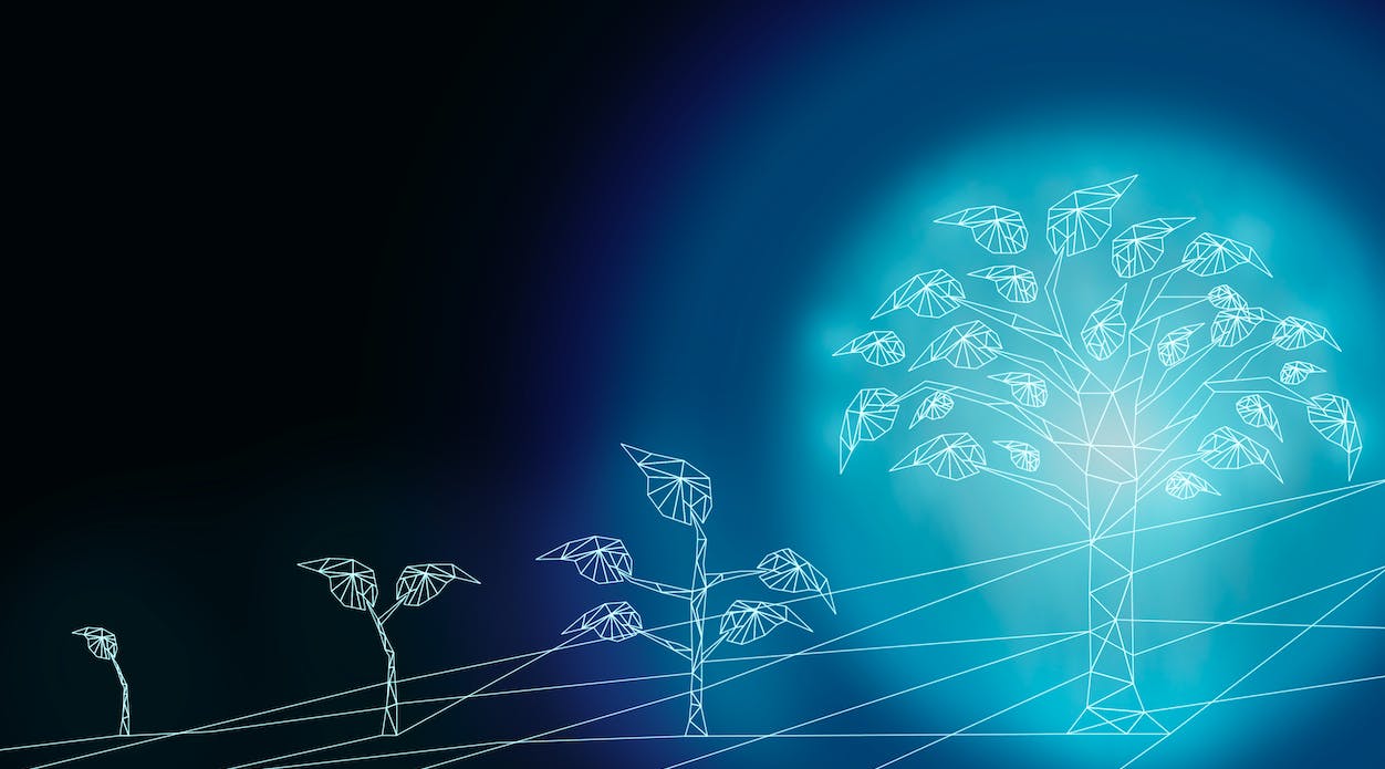 An illustration of a seed growing into a tree.