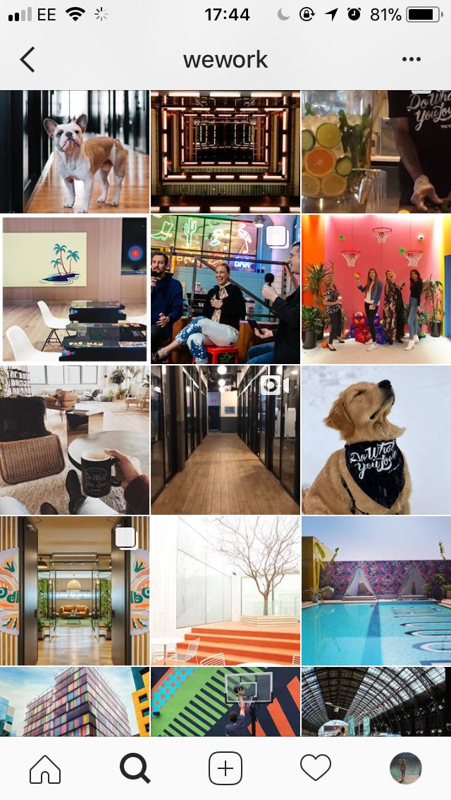 WeWork Instagram feed