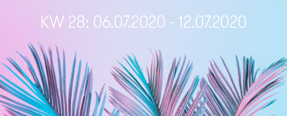Social Media Sidekick Banner Highlights KW 28 bunte Palmenbätter
