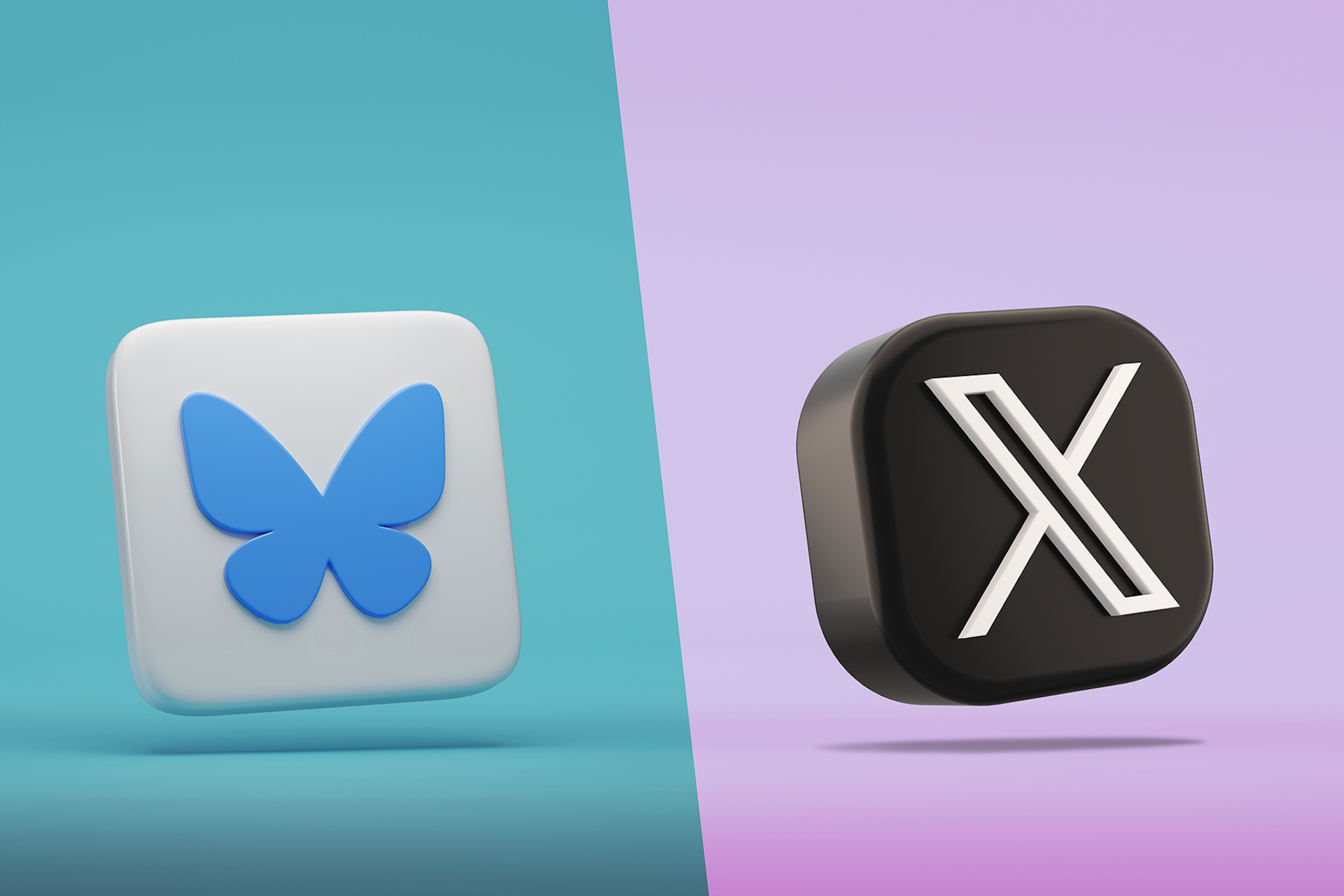 Bluesky and Twitter Logos