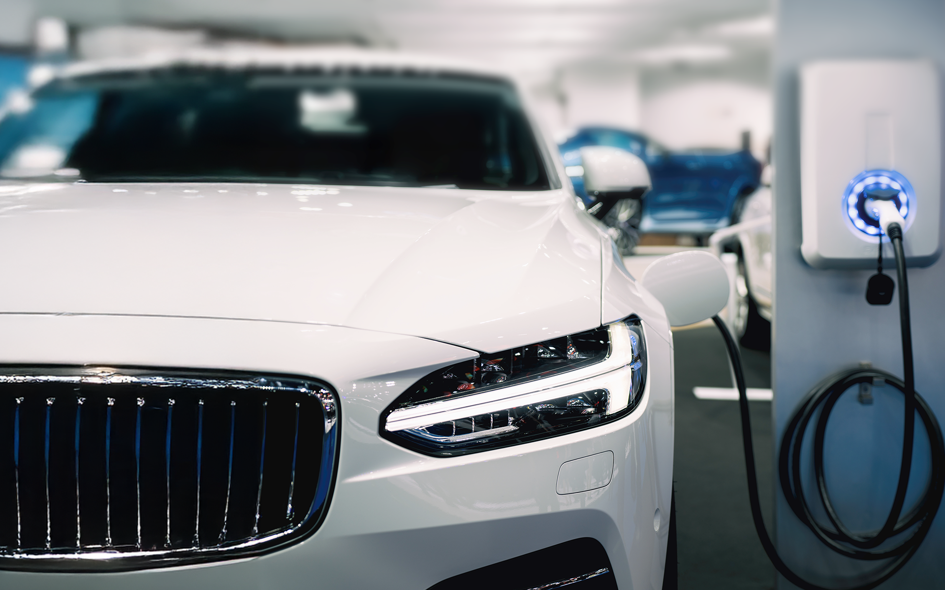 カスタマーインサイト：電気自動車(EV)