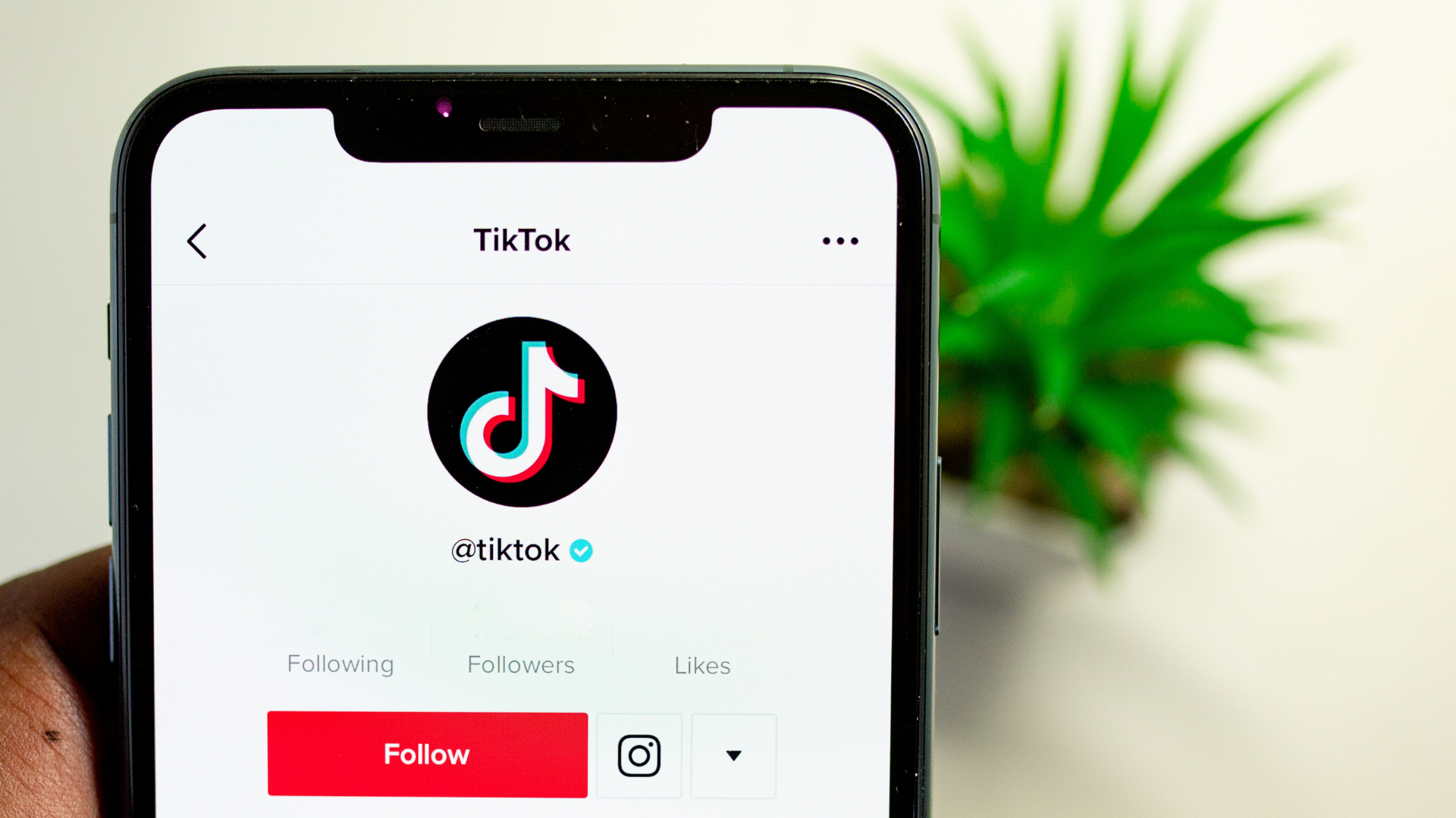 Téléphone affichant le profil officiel de tik tok avec le bouton Follow, le compteur de followers, following et les likes. 