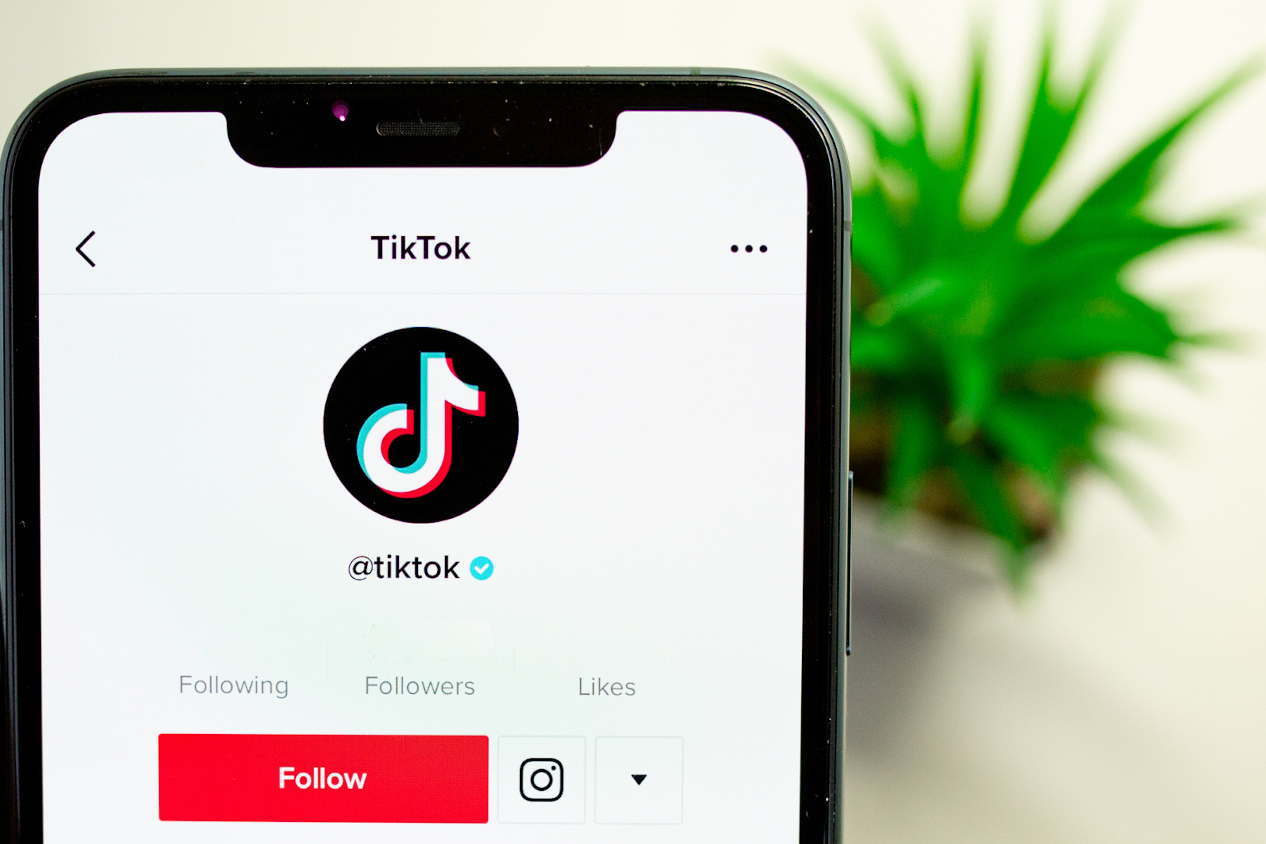 Téléphone affichant le profil officiel de tik tok avec le bouton Follow, le compteur de followers, following et les likes.