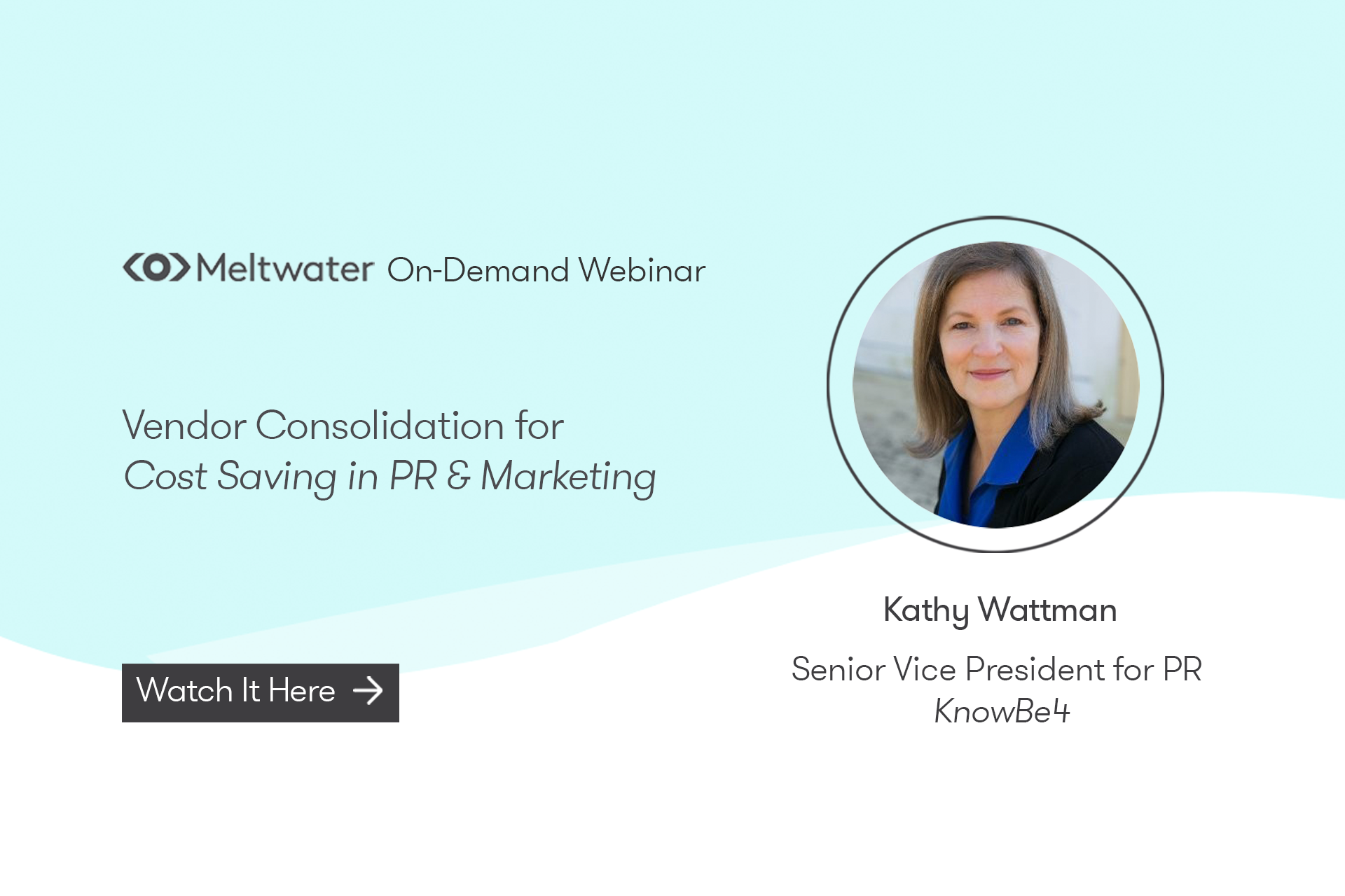 On-Demand Webinar: Vendor Consolidation for Cost Saving in PR & Marketing