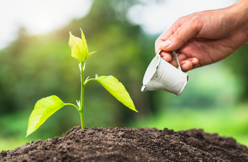 Nurturing media relations seeds