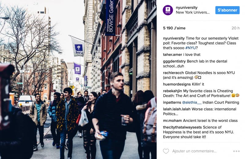 instagram education sondage