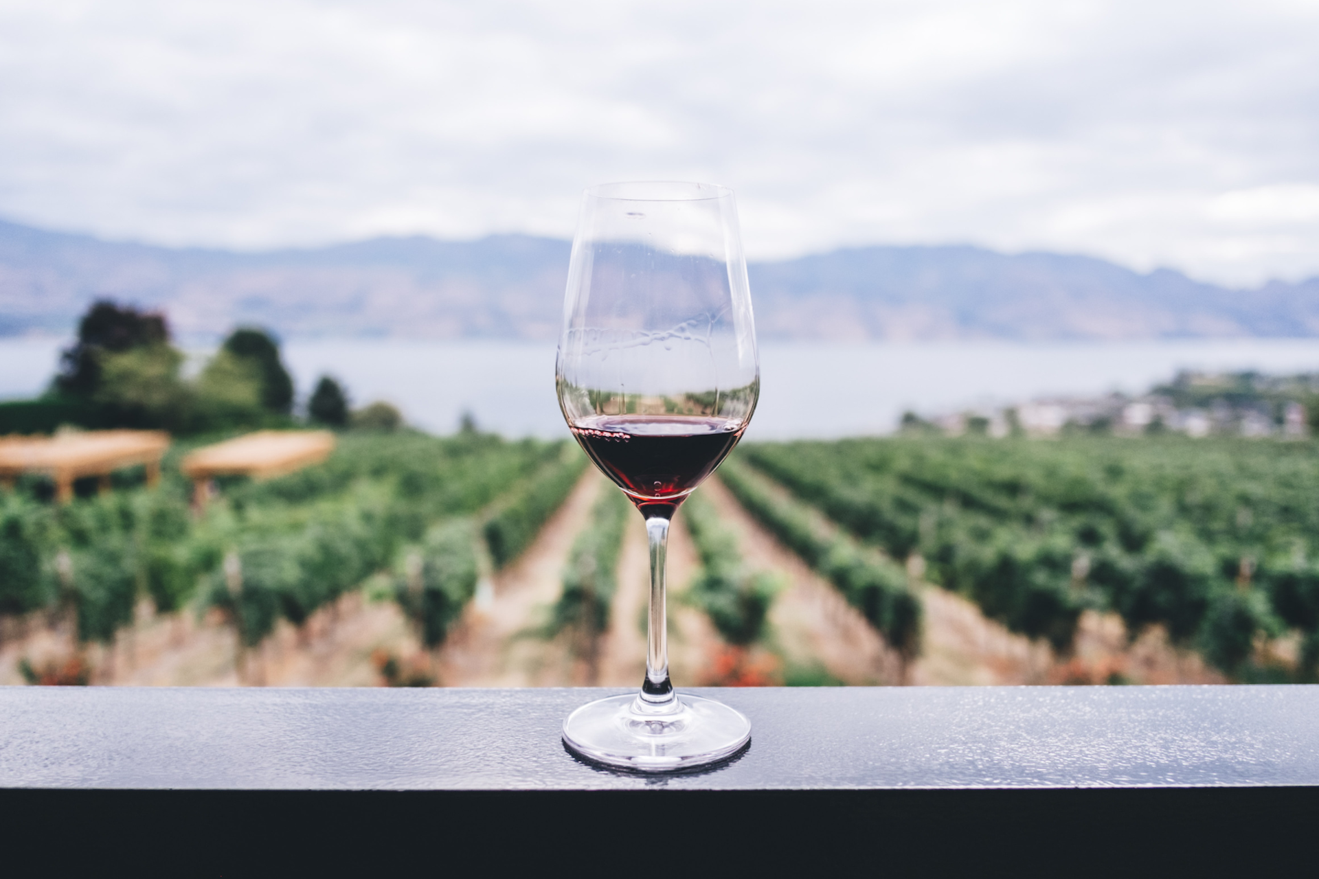 Photo d'un verre de vin sur fond de domaine