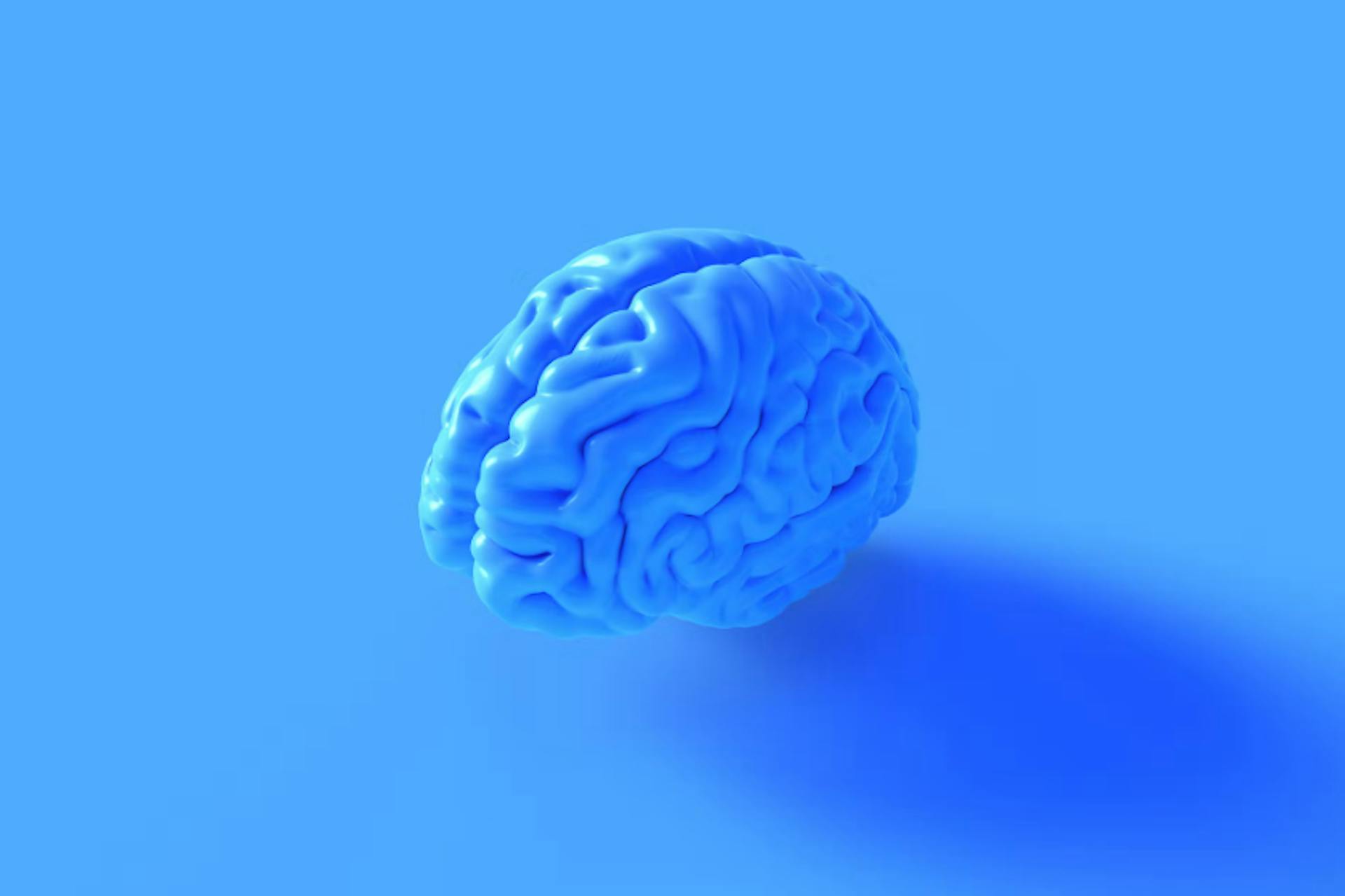 un cerveau bleu sur un fond leu 