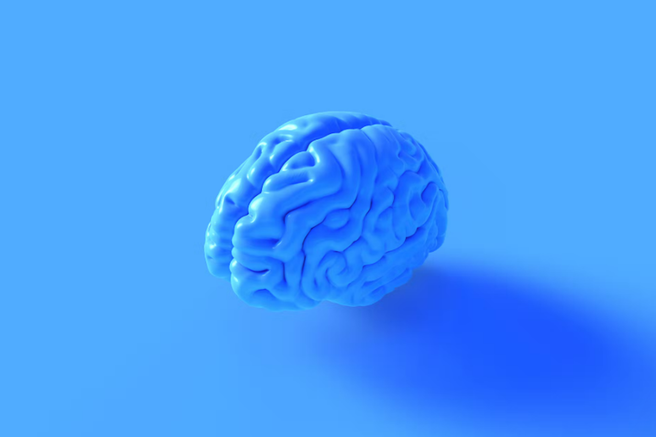 un cerveau bleu sur un fond leu