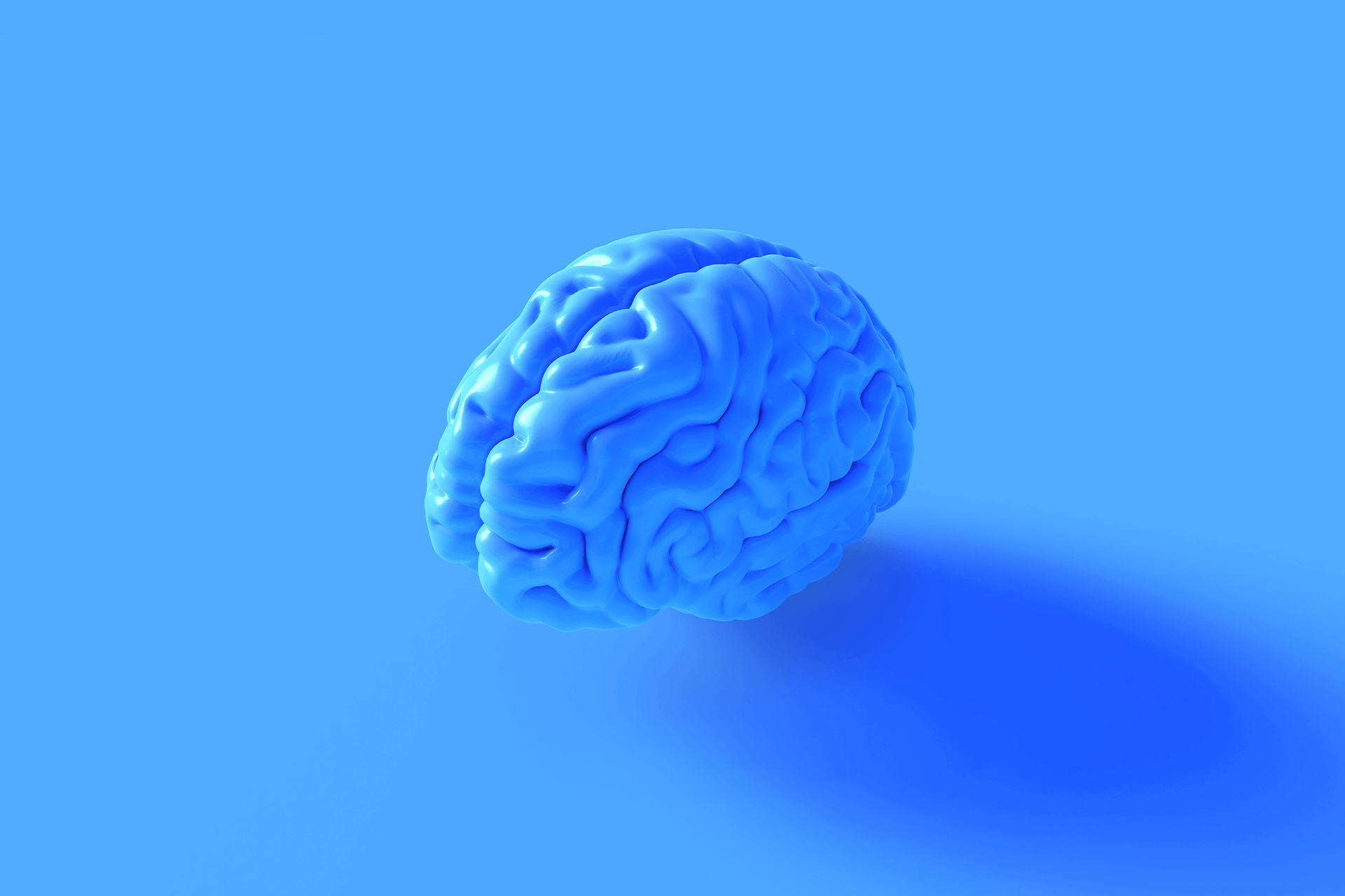 Ein Modell des menschlichen Gehirns, das blau ist und vor einem blauen Hintergrund steht. Die perfekte Wahl für das Titelbild zu unserem Blog über Market Intelligence.