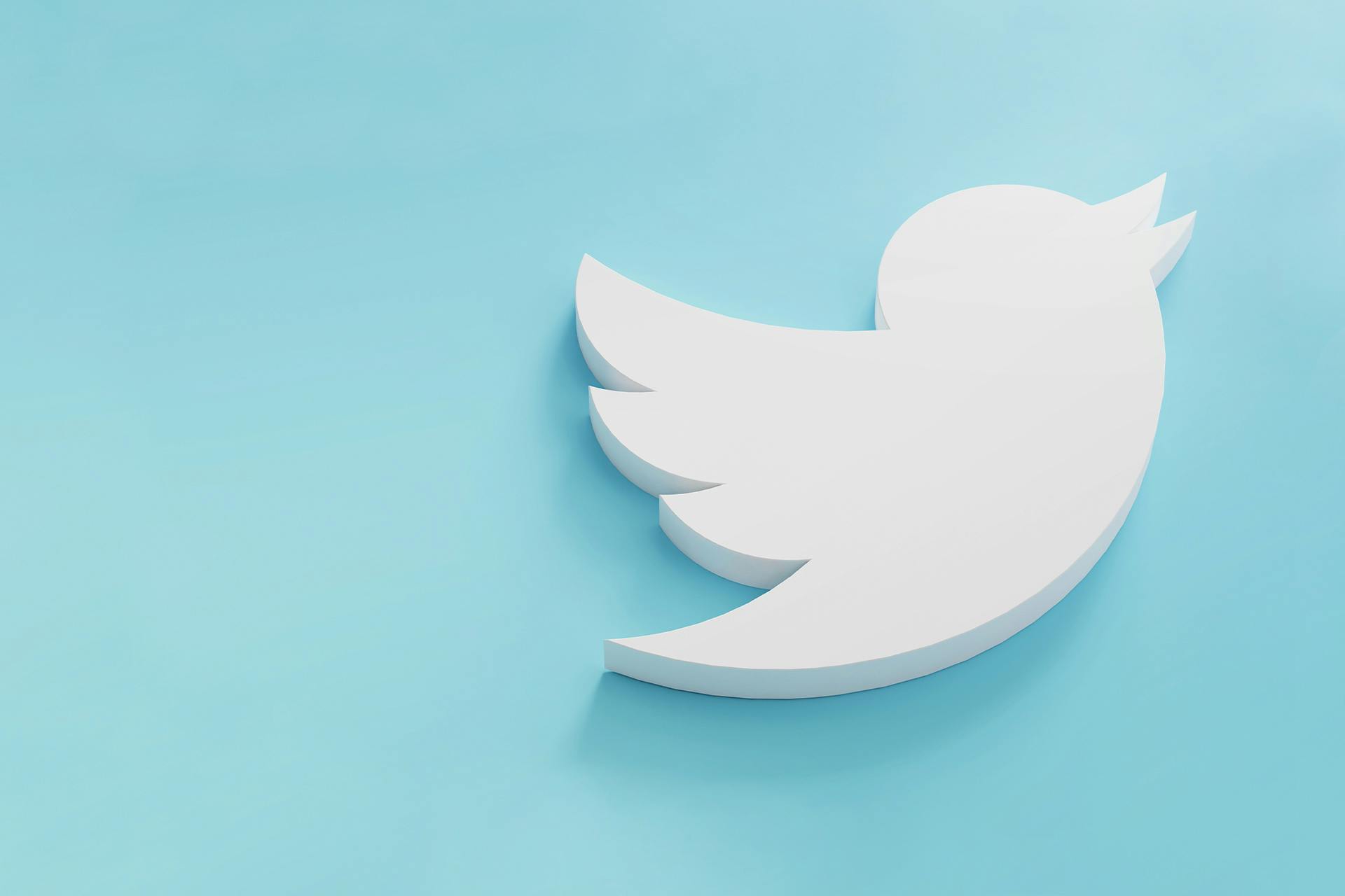 White Twitter bird over light blue background. Twitter marketing strategy blog.