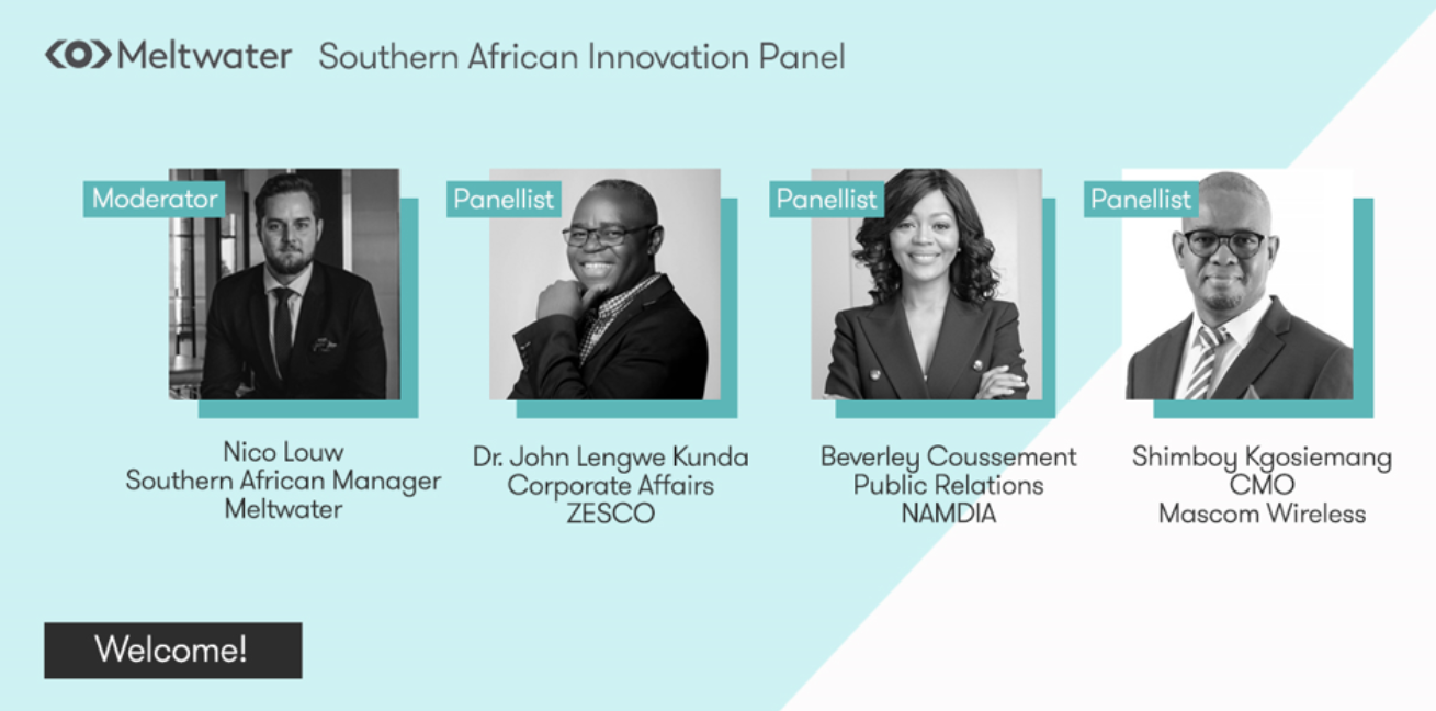 southern african innovation panel