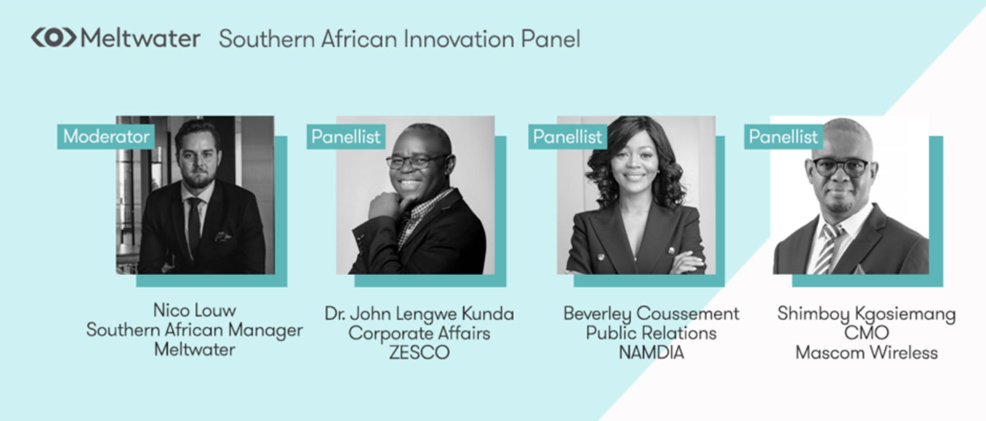 southern african innovation panel