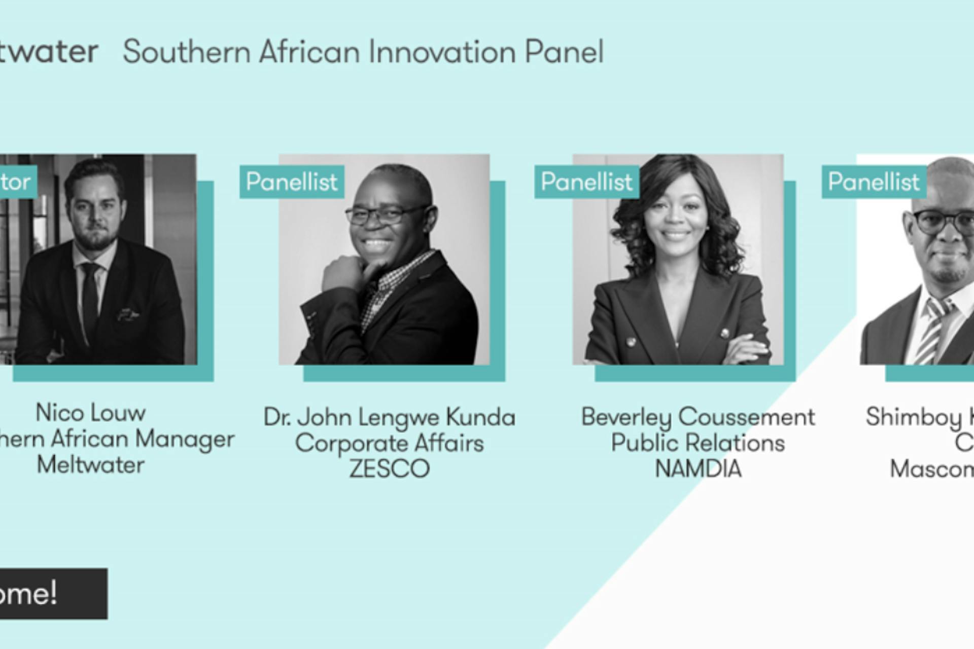 southern african innovation panel