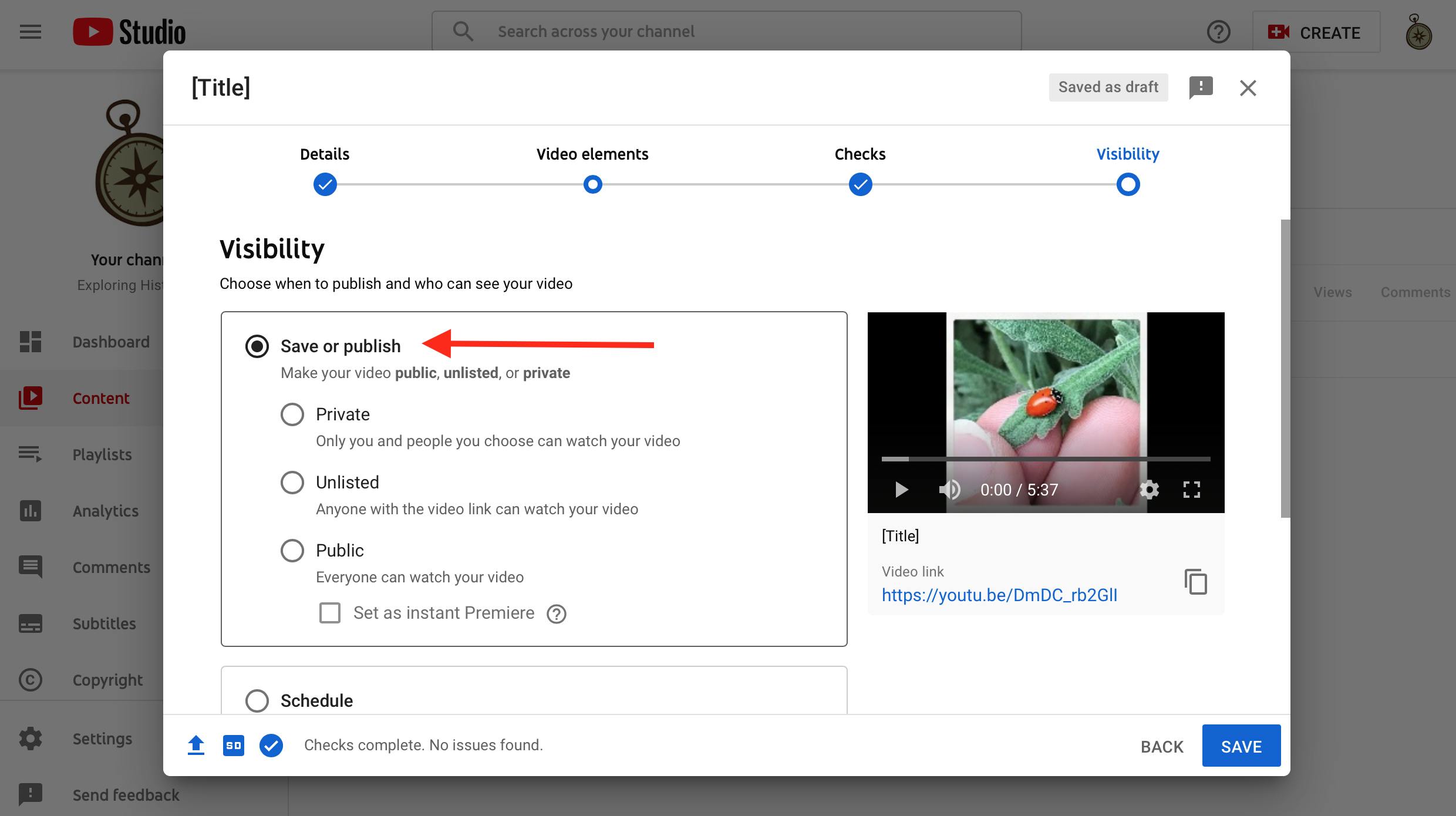 Last step to upload a YouTube video showing options to schedule or publish immediately