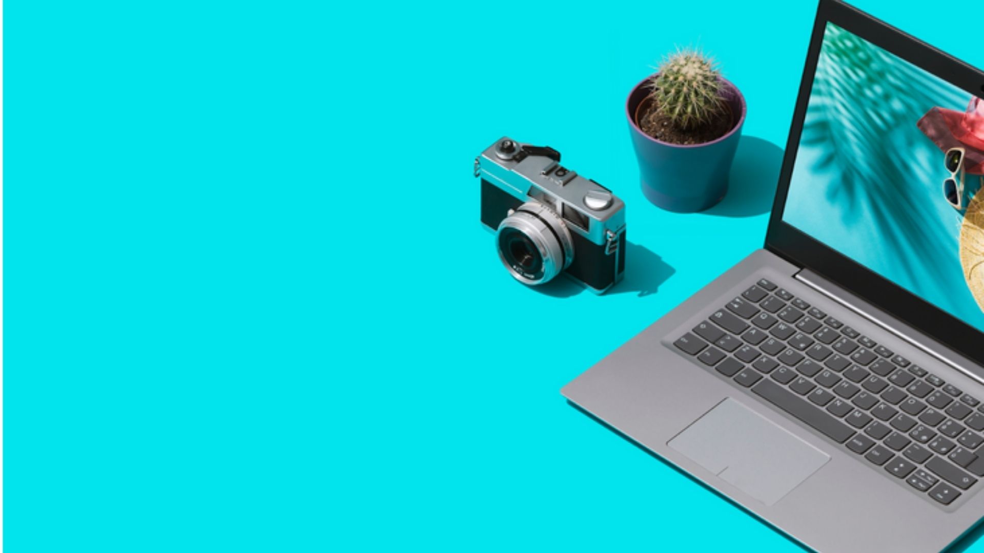 Ordinateur portable, appareil photo et cactus sur fond bleu vif 