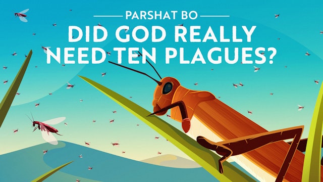 Did God Really Need Ten Plagues?