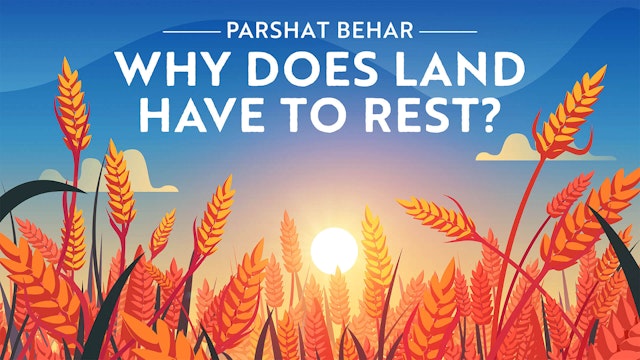 Why Does Land Have To Rest?