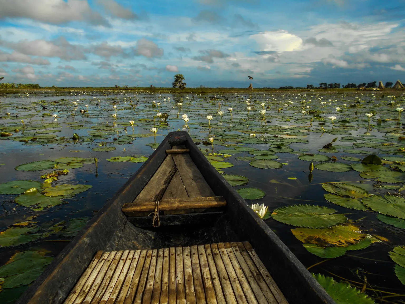 Bortir Bill best pre wedding location kolkata