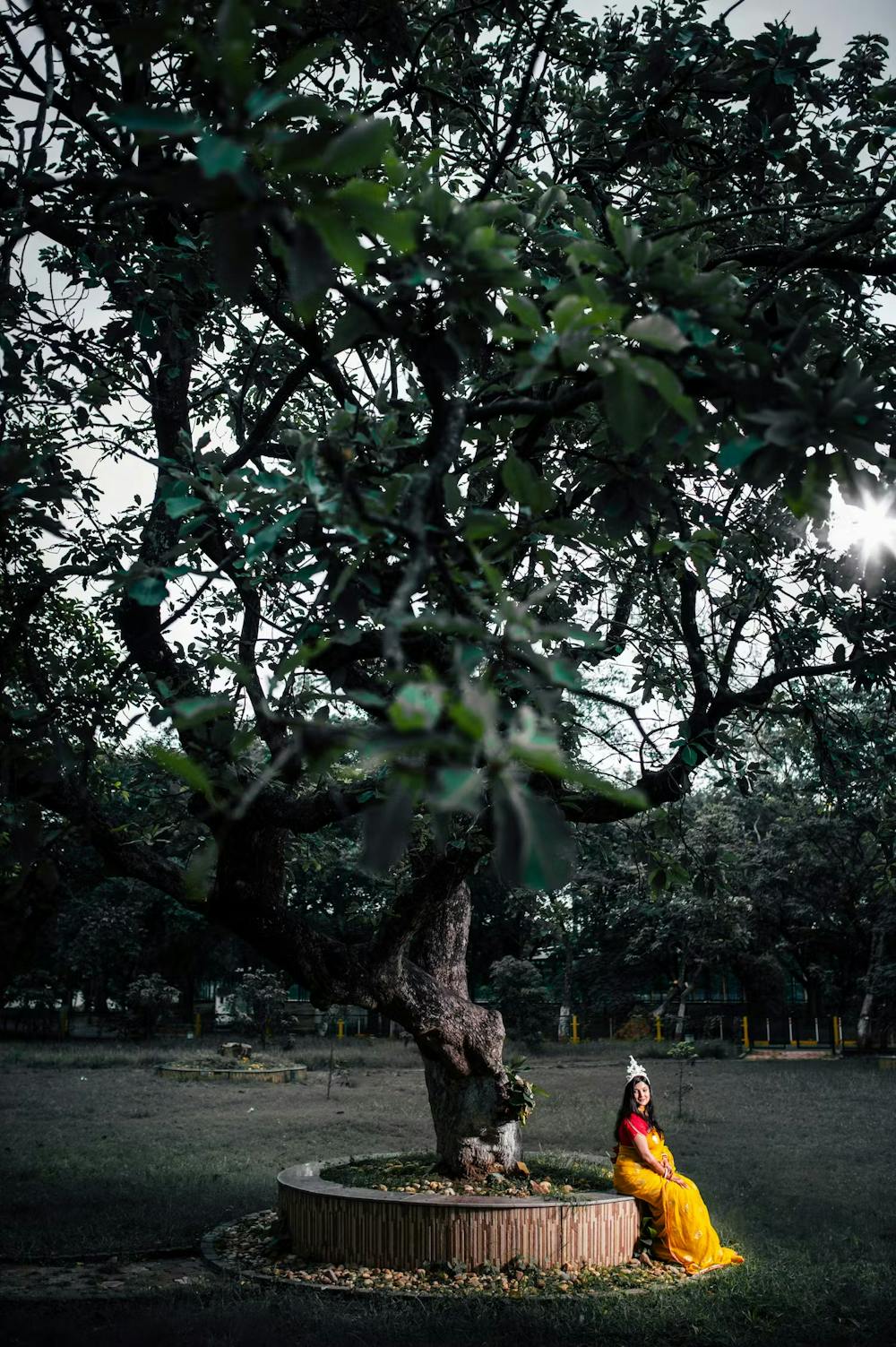 A bride sitting under a tree pic