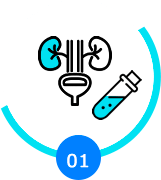 Calculate Urine Data