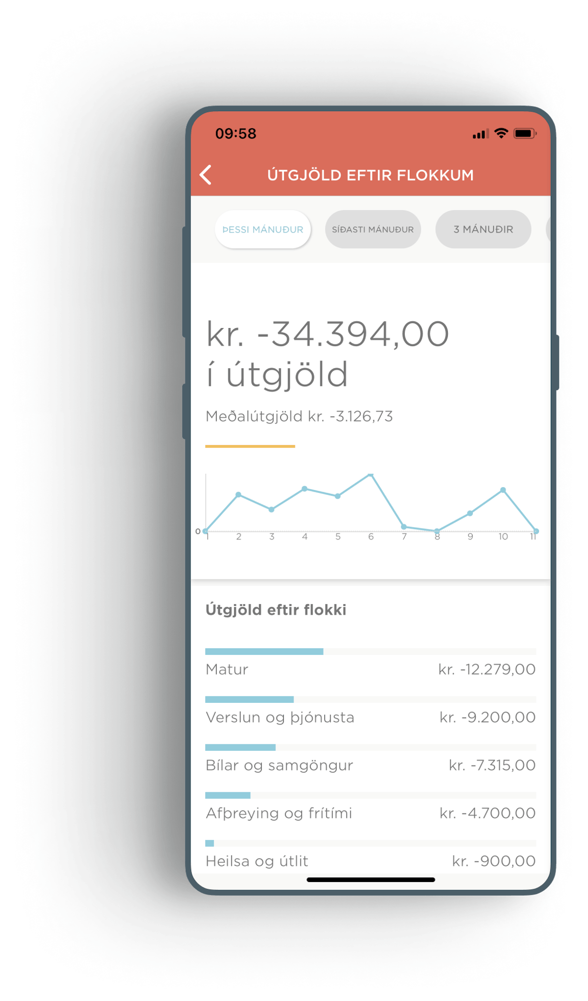 Útgjöld í Meniga