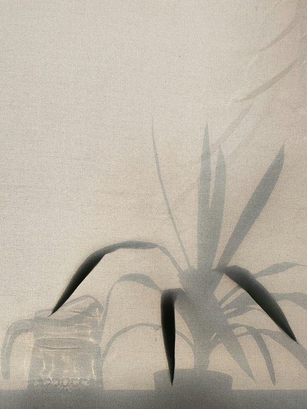 Artist silhouette of a plant with long leaves