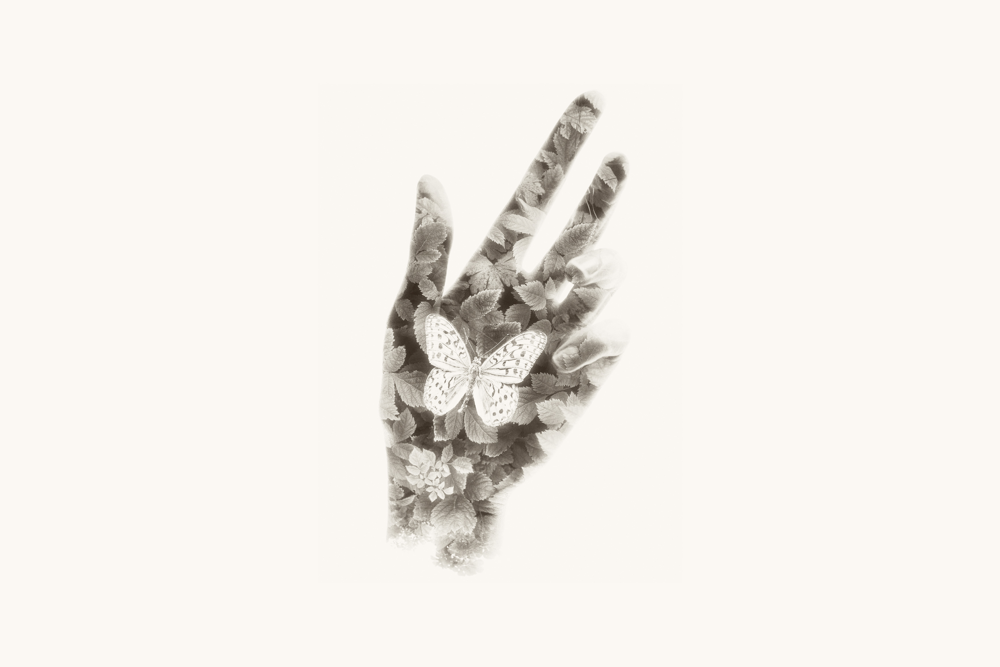 Artwork of a hand superimposed with flowers and the sketch of a butterfly
